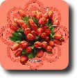 darma0013