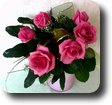 HaSza