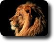 Mrooq